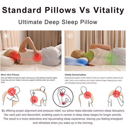 Cervical & Migraine Pillow - Family Pack